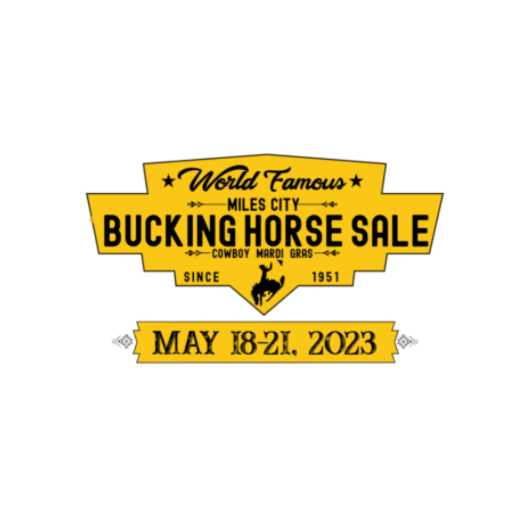 Bucking Horse Sale