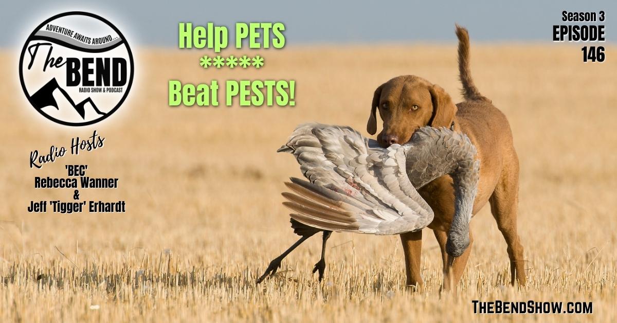 Flies Biting Your Dogs? Answers here. Big Game Hunting Tags