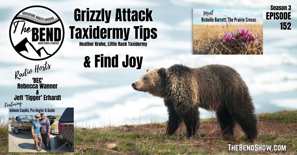 How To Enjoy Traveling New Places & A Grizzly Bear Attack