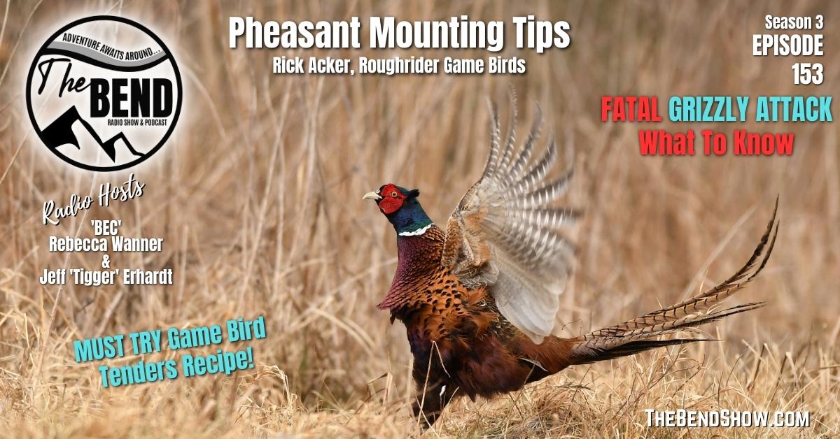 Fatal Grizzly Attack, How To Bear Prepare & Pheasant Taxidermy Tips