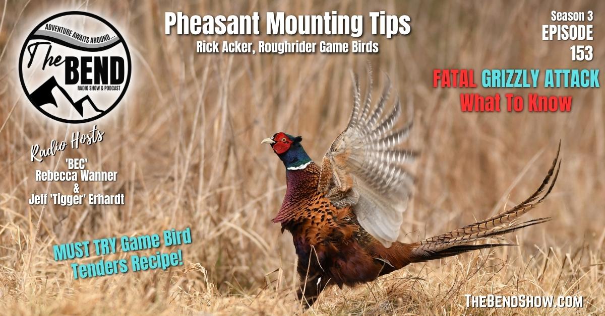 Pheasant, Game know-how