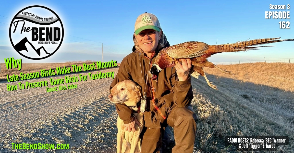 WEBSITE The BEND Show S3 E162 Upland Game Bird Pheasant Taxidermy Outdoors News Rebecca Wanner Jeff Erhardt Tigger & BEC Rick Acker