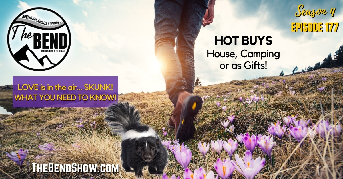 How To Wash Dog Skunk Sprayed & Hot Buys For Summer Adventure