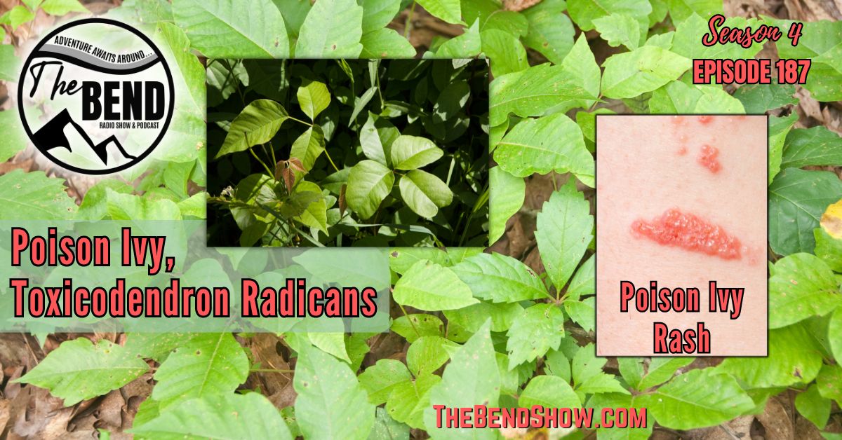 Poison Ivy The BEND SHOW S4 E187 Toxicodendron radicans. Rebecca Wanner BEC