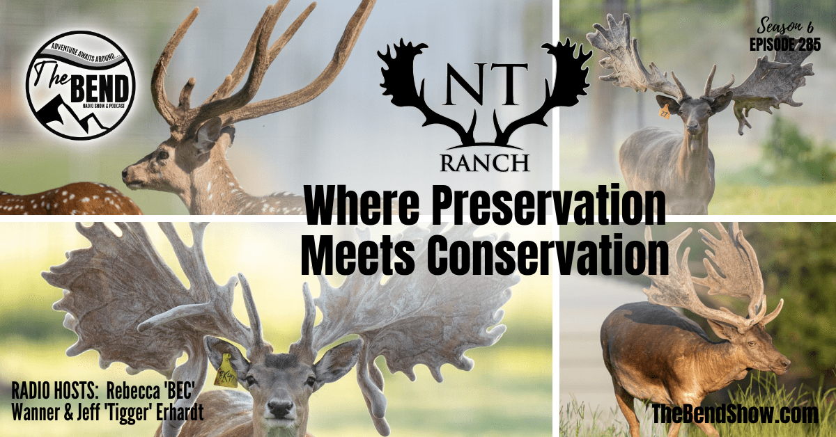 Exotic Deer, Fishing Fraud, and New Hunting Rules