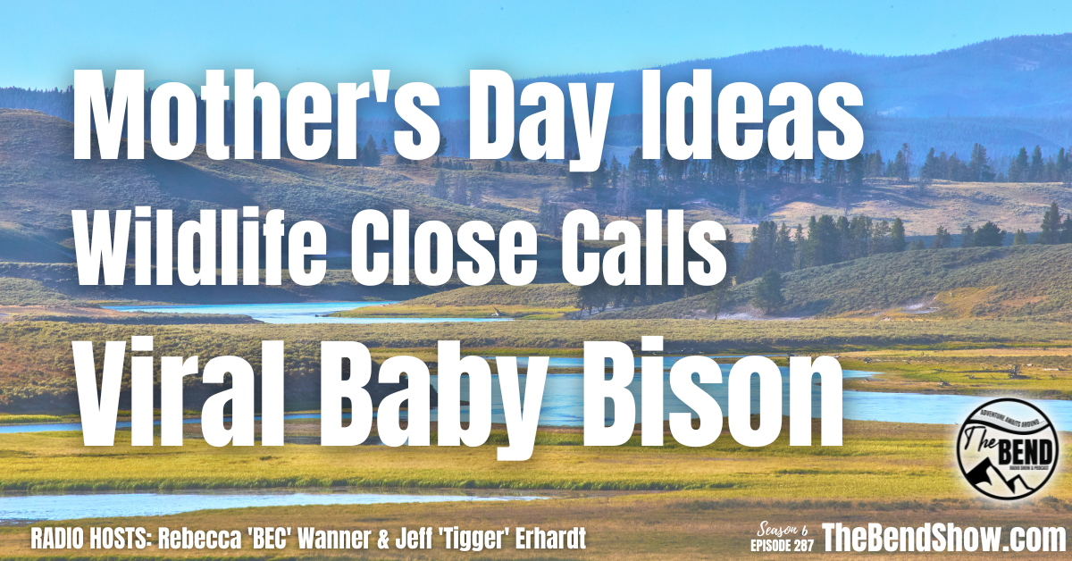 Mother’s Day Ideas, Wildlife Close Calls, and a Viral Baby Bison Story 