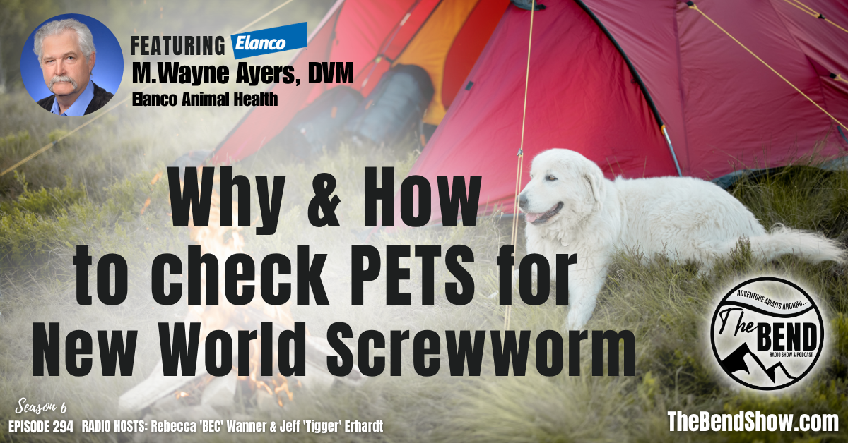 Why and How to check Pets fo New World Screwworm