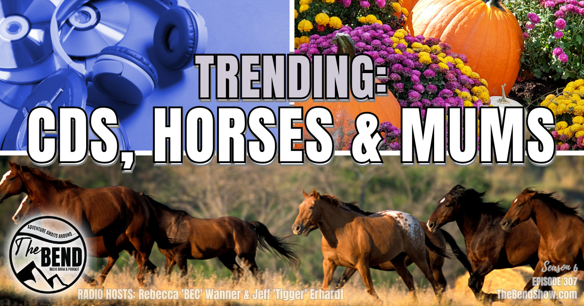 Trending: CDs, Horses & Mums
