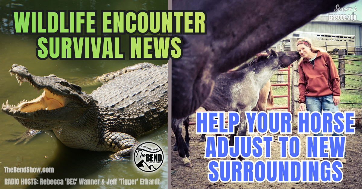 Wildlife Encounters and Young Horses: Lessons in Awareness & Desensitization