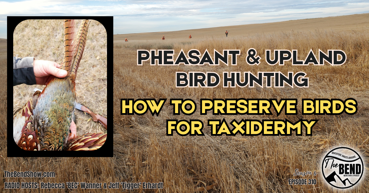 Pheasant & Upland Game Bird Hunting Tips & Tricks